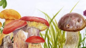 Съедобные грибы