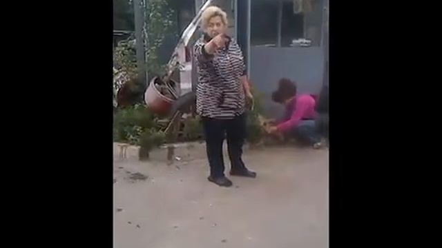 Городской службе отлова не отдают самовыгульную собаку, покусавшую человека_2013 Харьков смотреть онлайн