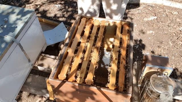 Crazy Farming Ep 3 смотреть онлайн