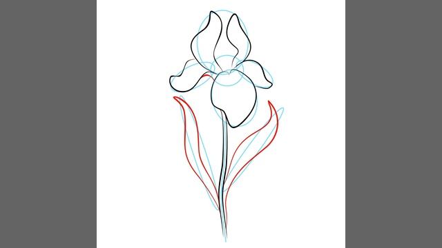 How to draw flowers Iris/ Как рисовать цветы Ирис. смотреть онлайн