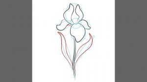 How to draw flowers Iris/ Как рисовать цветы Ирис.
