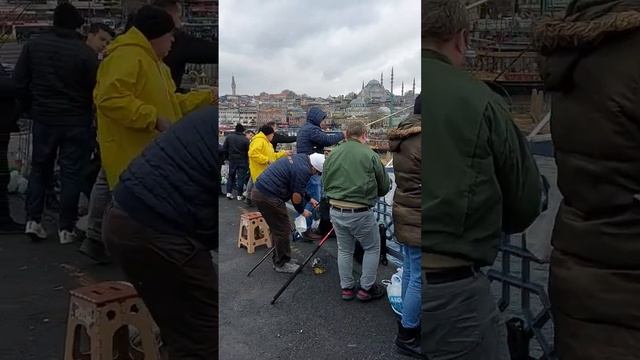 Галатский мост: самое рыбное место в Стамбуле #турция #стамбул #мыздесьбыли