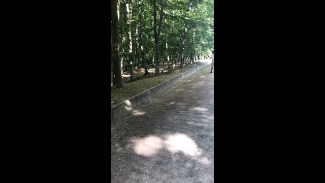 Рифат Зарипов в Германии побывал в концлагере Бухенвальд