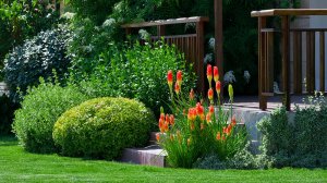 ?Варианты и примеры украшения садового участка / Garden decoration options / A - Video