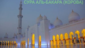 СУРА АЛЬ-БАКАРА (КОРОВА). СЛУШАЙТЕ КАЖДЫЙ ДЕНЬ. С ПЕРЕВОДОМ НА РУССКИЙ ЯЗЫК.