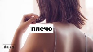 Body and Face parts in Russian: Visual Dictionary