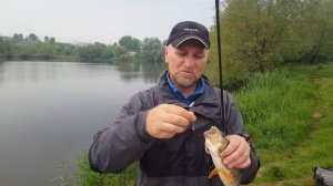 #blackbaits online Breaden Glamour Rock Fish GRF- TE74 FortunateNB