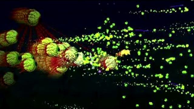 terraria cursed images with cursed rhythm thief