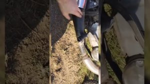 Иж планета 5, без компрессии в цилиндре, но ещё не бесполезна