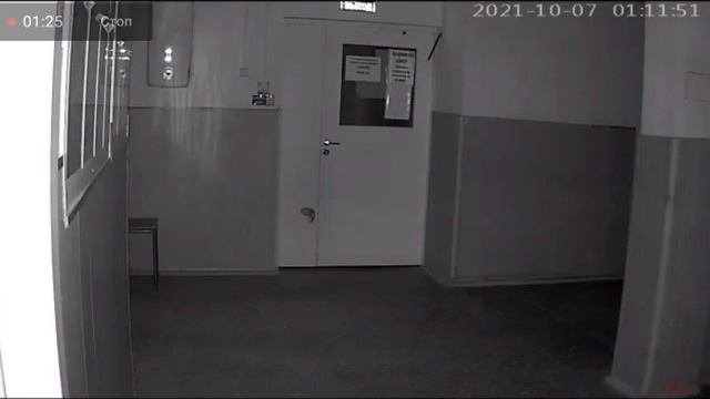 Что сняла камера видеонаблюдения ночью.