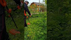 Ну карвер, не подведи!