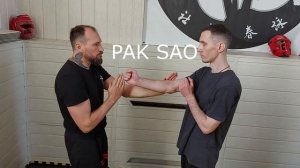 6 урок #wingchun парная отработка техник PAK SAO TAN DA и TAN SAO PAK DA.