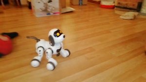 Smart Robot Dog Decatur /Собака-робот / Распаковка посылки ОЗОН / Городские Поселковые ? серия 57