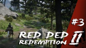 Red Dead Redemption 2 / # 3