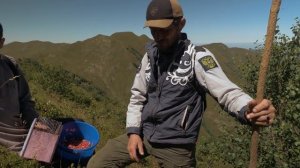 Как живут чеченцы? Сейчас покажу