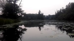 Электромотор HDX лодка Пеликан