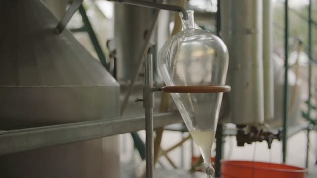 Kona Sandalwood Reforestation Project—Большой остров, Гавайи, США | Янг Ливинг Россия смотреть онлайн