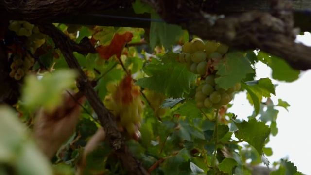 Can Experts Solve The Riddles Of Pompeii Before It's Too Late? | Lost World Of Pompeii | Timeline смотреть онлайн