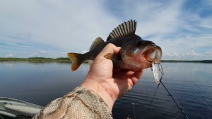 РЫБАЛКА В СИБИРИ  Щука ЯяЗьь Окунь на спининг #рыбалка #щука #спининг #fishing #pike #pikefishing