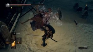 23.  Нарисованный мир Ариамис | Dark Souls Remastered