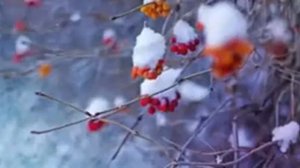 Приметы 27 января. Молоко в этот день считалось Чудодейственным!