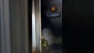 Траворезка внутри принцип работы