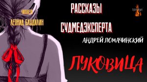 Рассказы Судмедэксперта: ЛУКОВИЦА (автор: Андрей Ломачинский).