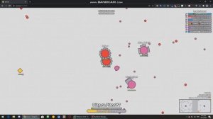 Multiboxing in arras.io