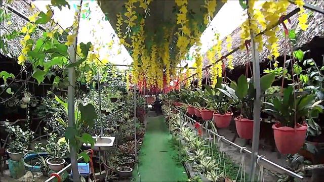 The Amazing Mekong River Delta - Vietnam | MEKONG DELTA VIETNAM (glimpse of Vietnams Mekong river) смотреть онлайн