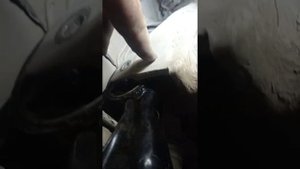 замена задней подушки двс Лансер 9