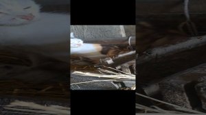 1000015069.mp4