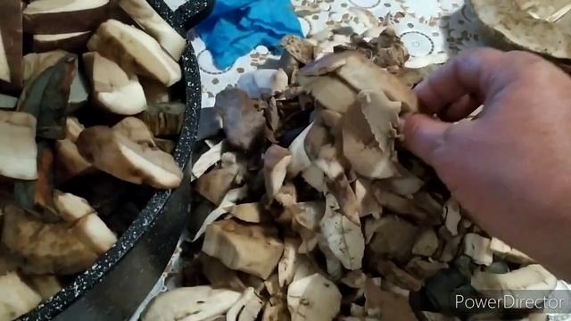 ПОДБЕРЕЗОВИКИ.СОБРАЛИ,СВАРИЛИ,ЗАМОРОЗИЛИ смотреть онлайн