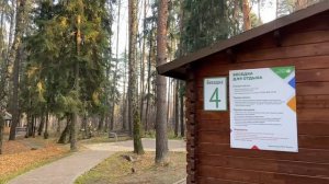 Парк «Ёлочки» в Домодедово. Парк Новое Домодедово. Лучший парк Московской области. Парки Подмосковь