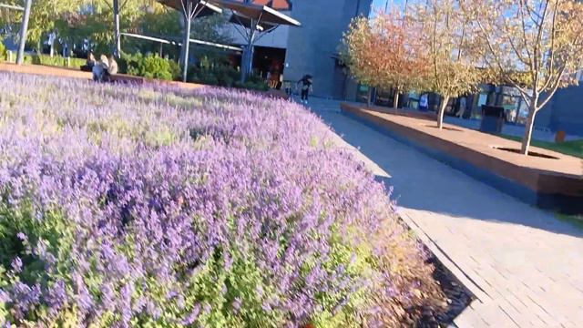 23.09.2023 Фиолетовая трава смотреть онлайн