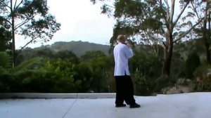 Wu Style Tai Chi 108 Movements Complete