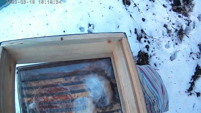 Подкормка пчел весной. Зимовка на Урале продолжается. смотреть онлайн