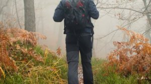 Deep House Music - Лучшая Музыка 2024