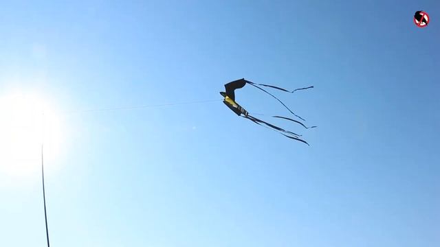 Как отпугивать птиц от ставков и прудов? ДП «Ирклиевский рыборазводник растениеядных рыб» смотреть онлайн