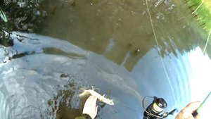 Ольховский пруд