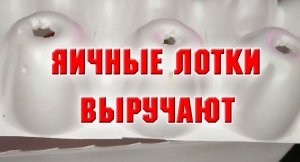 25 декабря. ЯИЧНЫЕ ЛОТКИ В ПОМОЩЬ ЦВЕТОВОДУ.mp4