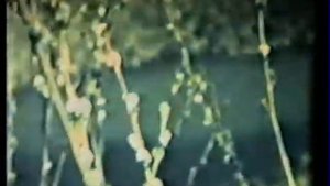 "Весенние голоса" фильм АХПУ режиссер В.И.Полин 1967г.