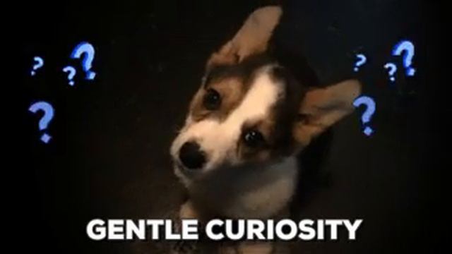 Что что ЧТО смотреть онлайн