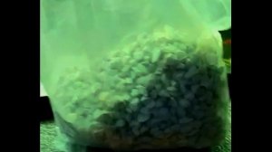 Запуск аквариума / Грунт / Что значит грунт фонит / аквариумная химия / Цеолит