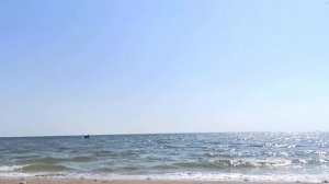 Кефаль и камбала в Кирилловке  База Гавана