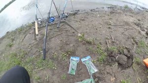 Охота на амура в Донецкой области.Рыбалка на Самарских ставках.Ловля на 12-ом "ПРОКУРОСКОМ" водоеме