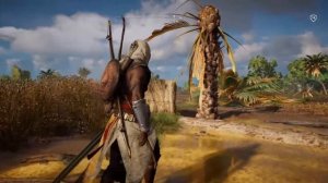 Assassin's Creed Origins|Истоки - Загадка папируса - Ном Канопус (Путь природы)