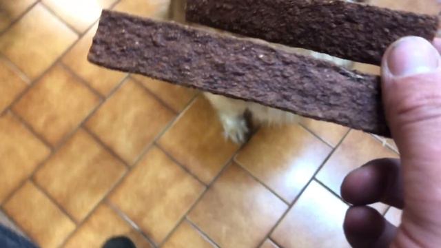 The Tiger Hut, Liawenee - Trout Fishing in Tasmania’s Central Highlands смотреть онлайн