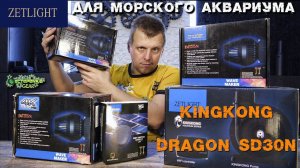 Подъемная помпа Zetlight KINGKONG и помпа течения DragoN SD 30N