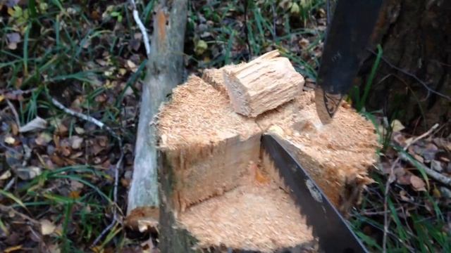 Как разогреть еду на сухом пне. смотреть онлайн