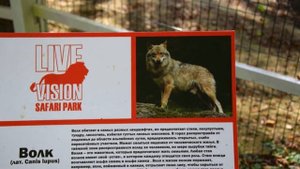 САФАРИ ПАРК СОЧИ ЕДИНСТВЕННЫЙ В РОССИИ ЗООПАРК ТАКОГО МАШТАБА